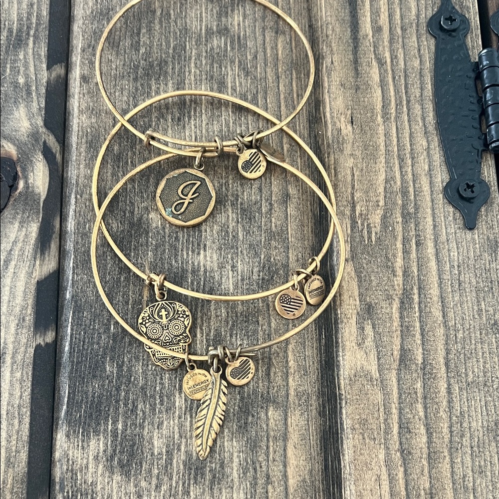Alex and Ani Charm Bangle Set